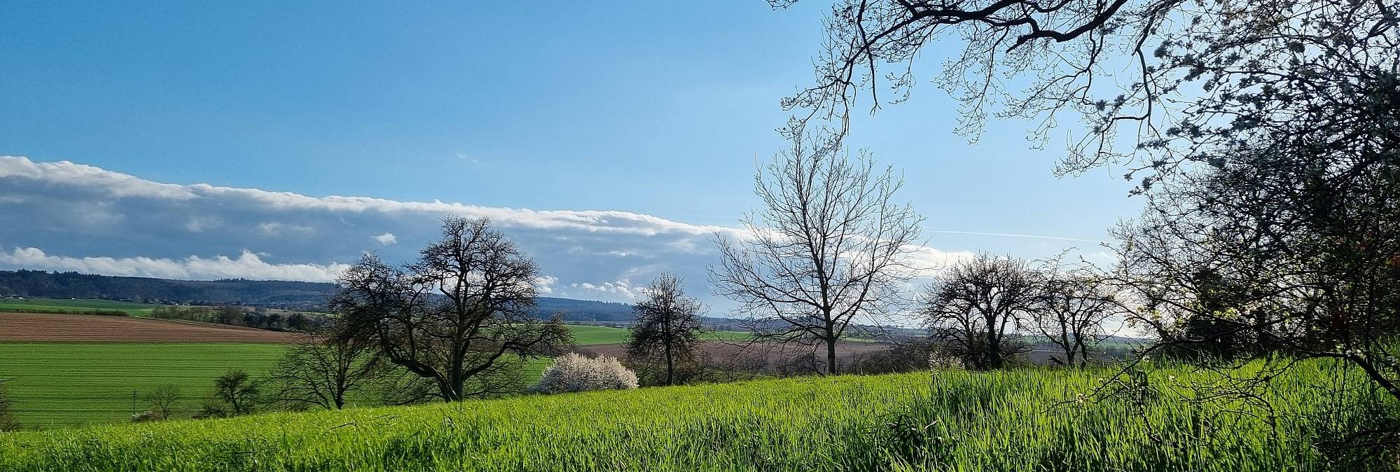 Quelle: Kirchengemeinde Kraichgau