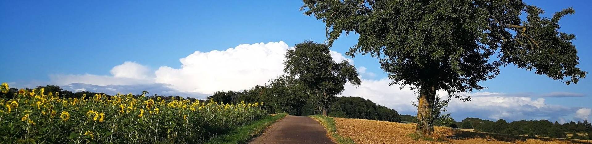 Quelle: Kirchengemeinde Kraichgau